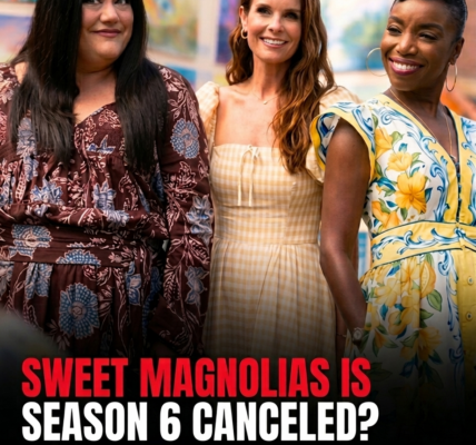 Sweet Magnolias Season 6 Canceled?