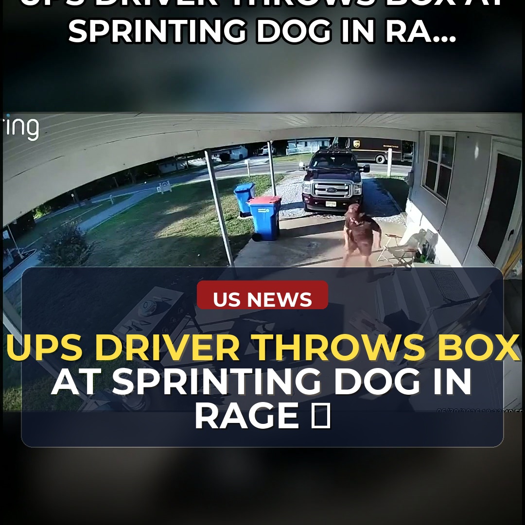 UPS Driver Caught on Camera Throwing Box at Dog, Then Confronts Owner: A Heated Altercation