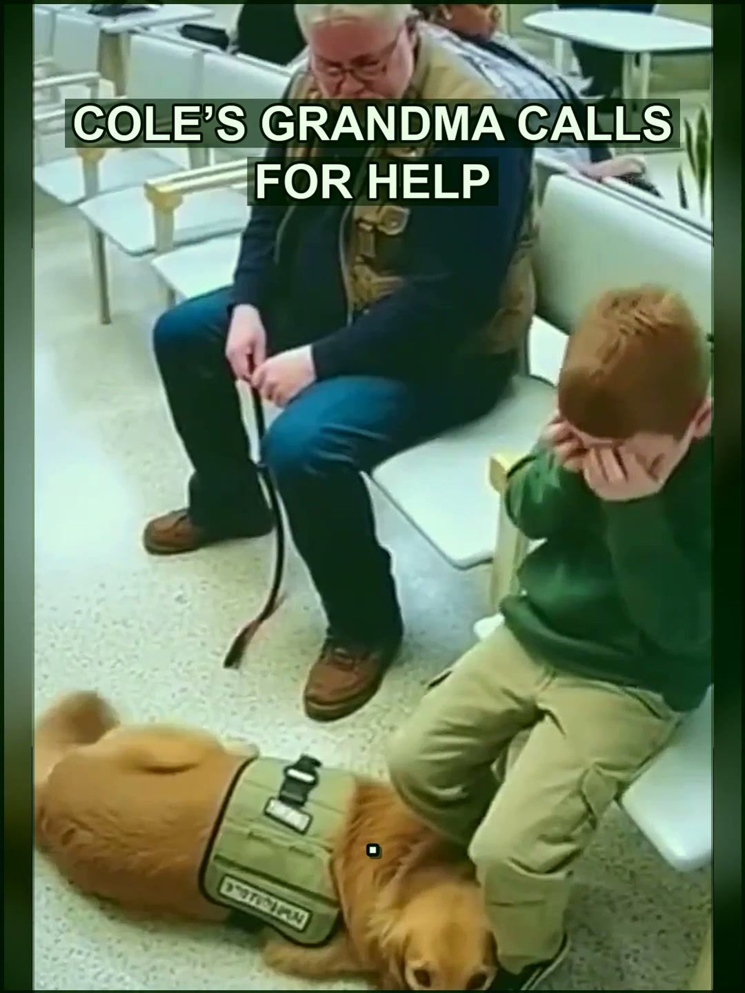 The Unanswered Question Behind Cole's Story: Who Bears Liability for Systemic Failures?