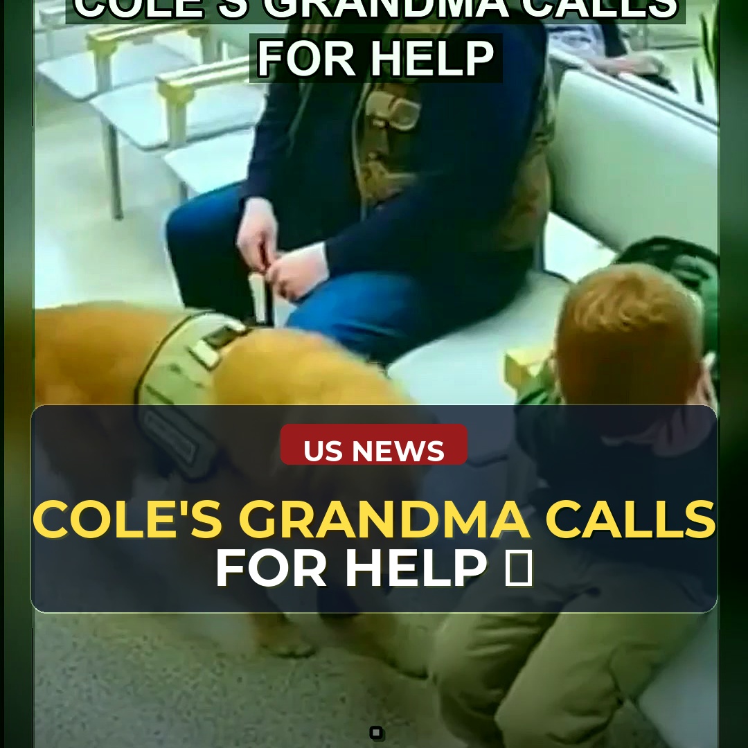 The Unanswered Question Behind Cole's Story: Who Bears Liability for Systemic Failures?