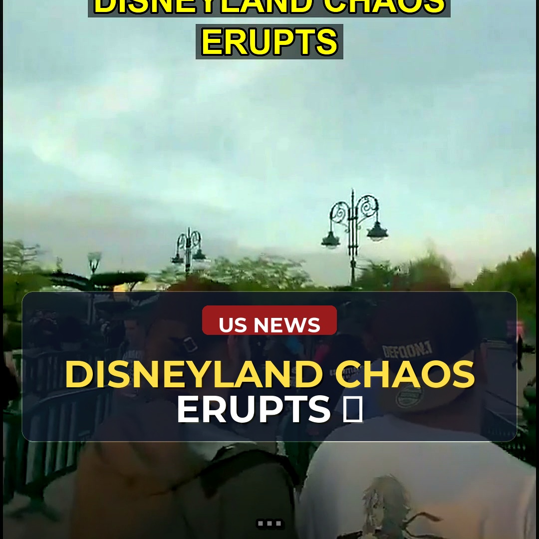 Horrific Attack on Disney Paris Highlights Systemic Immigration Concerns - A Closer Look at the Unaddressed Issues.