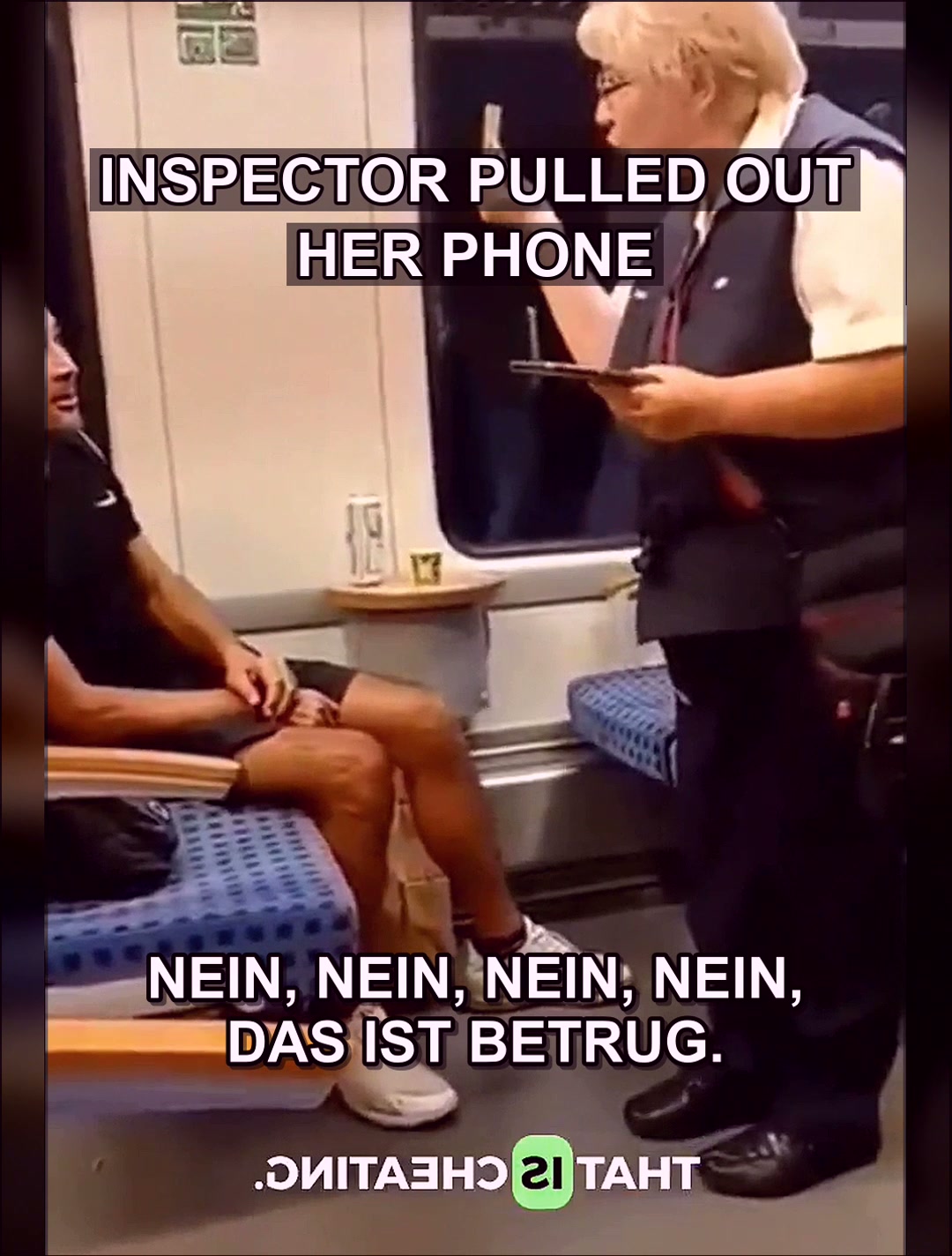 The Quiet Fury of a Ticket Inspector: One Woman’s Stand Against Entitlement on a German Train