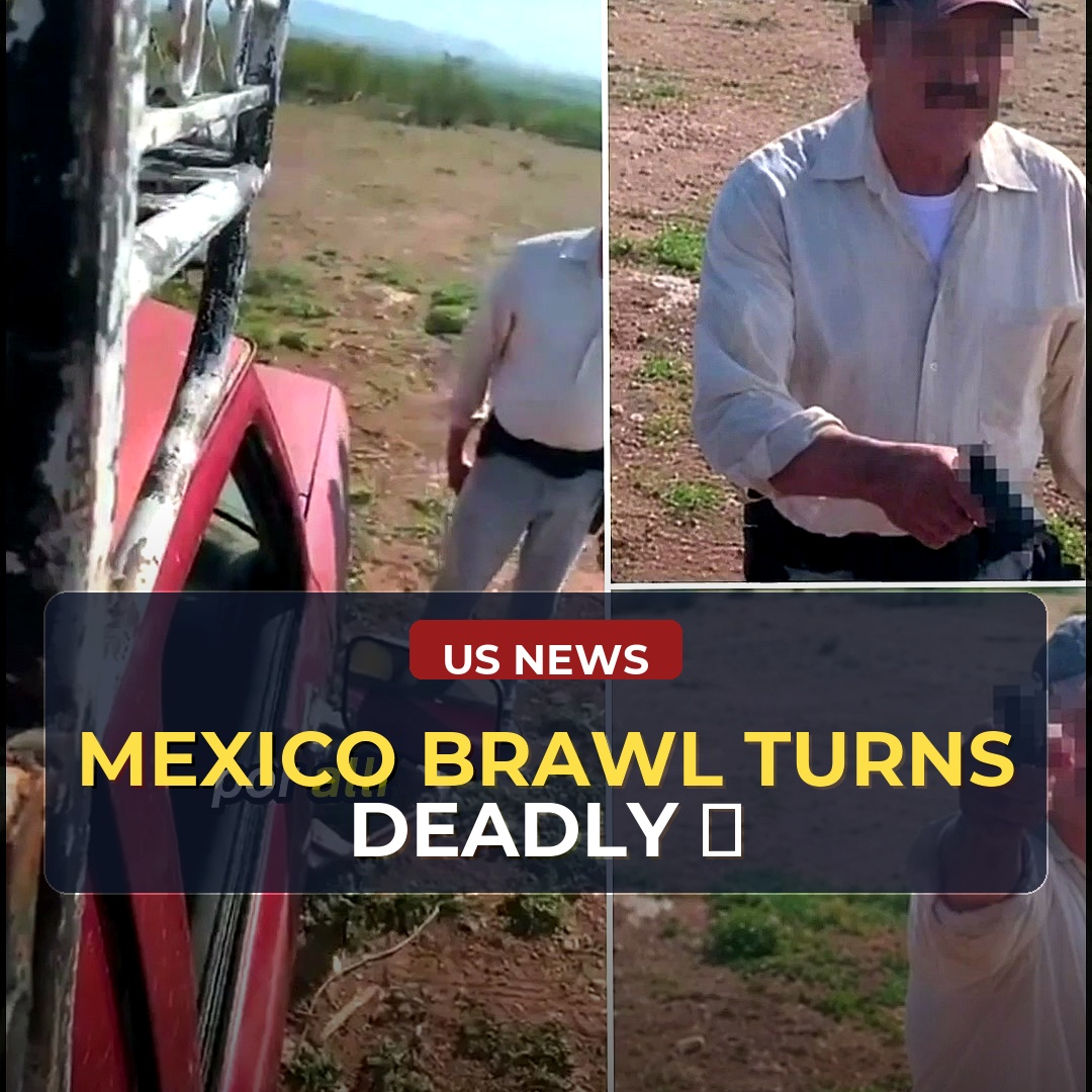 A Family's Confrontation in Mexico Ends in Tragedy: Senate Hearing Raises Concerns About Impunity and Safety