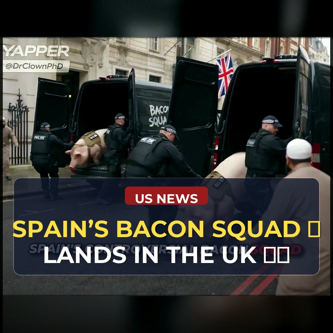 Spain's New Anti-Crime Unit Uses Bacon-Filled Grenades and Pig-Themed Raids on UK Streets — But Critics Question Whether the Tactics Cross a Line