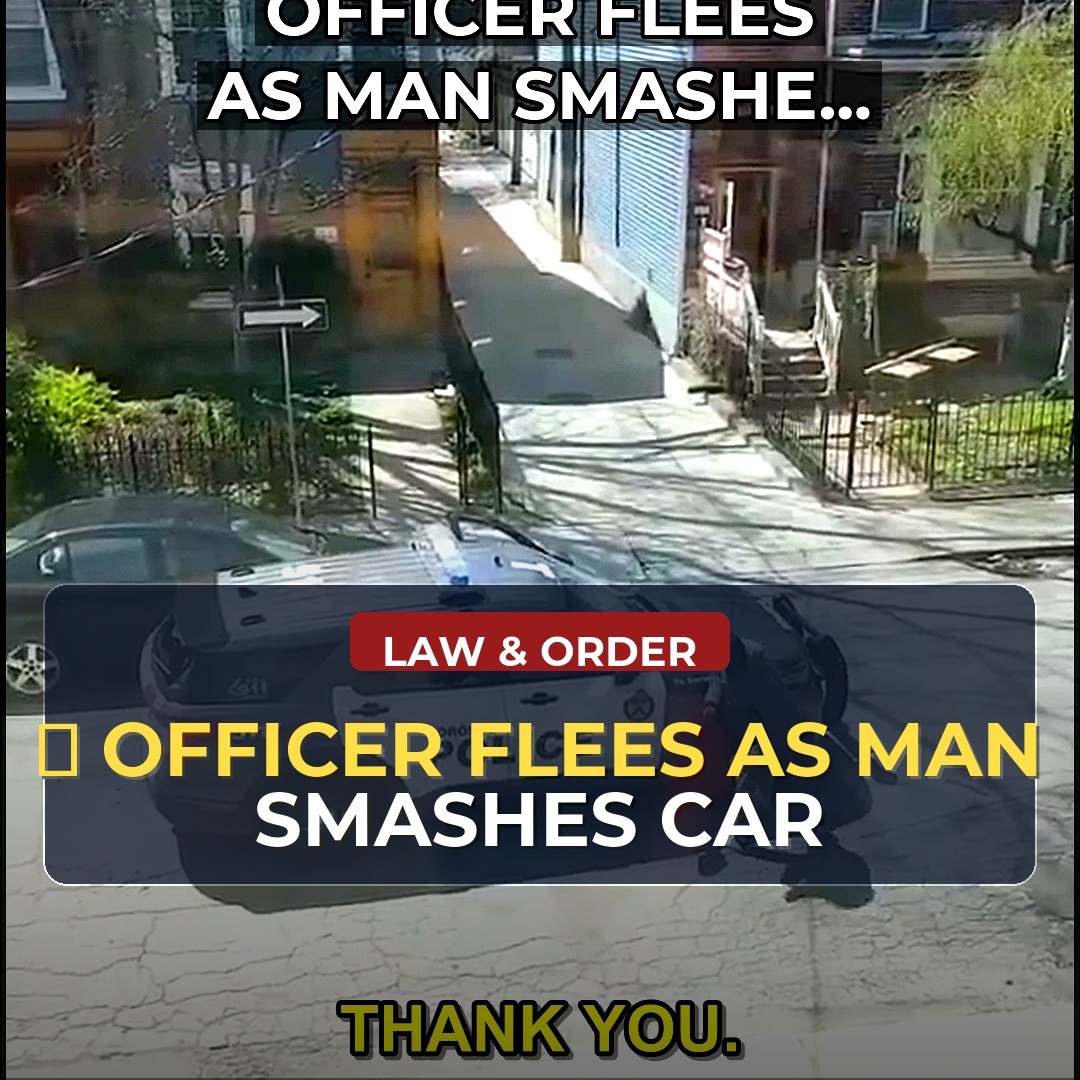 Body Camera and Bystander Footage Purportedly Show Officer Backing Away While Man Damages Squad Car and Throws Objects — Critics Ask What Protocols Apply When Patrol Assets Are Under Attack