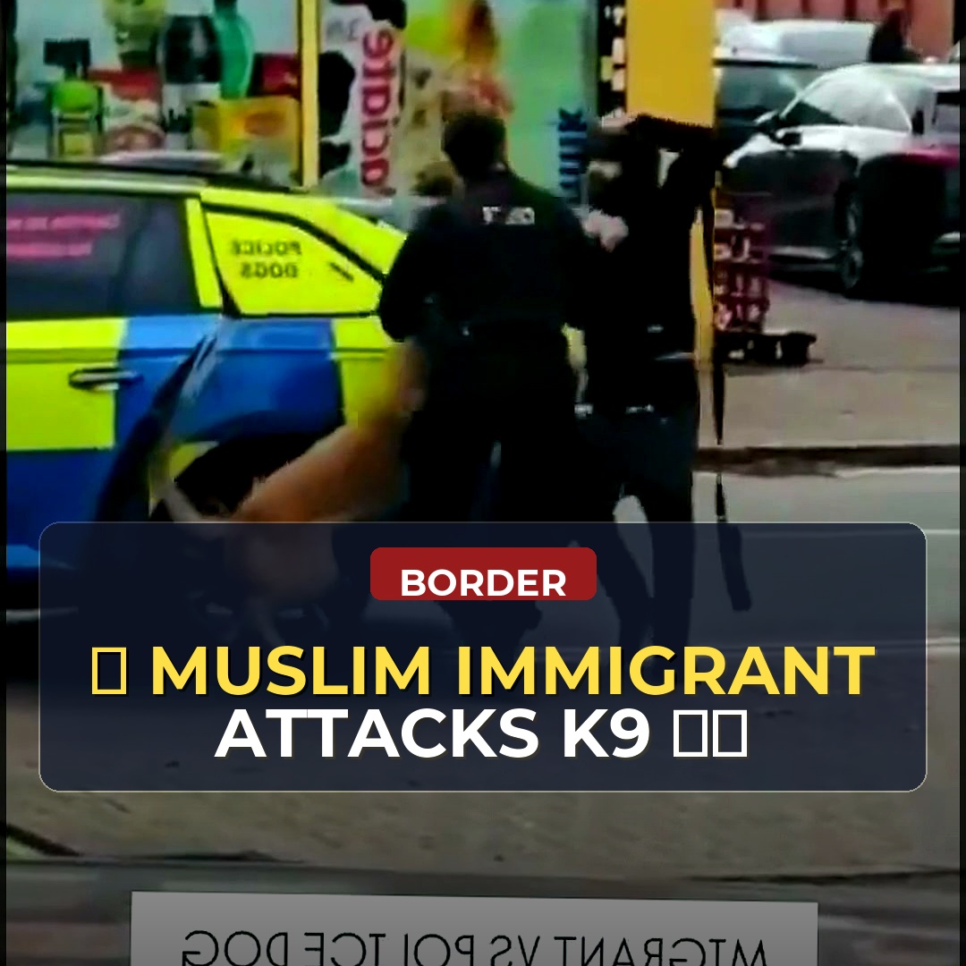 A Muslim Immigrant Attacked A K9 Because Dogs Are Haram Did He Deserve What Happened