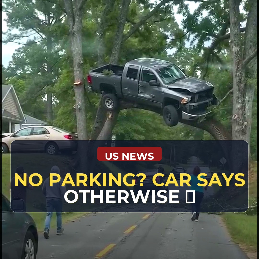 Baffling Parking Job Captured on Video Sparks Questions About How It Was Even Possible