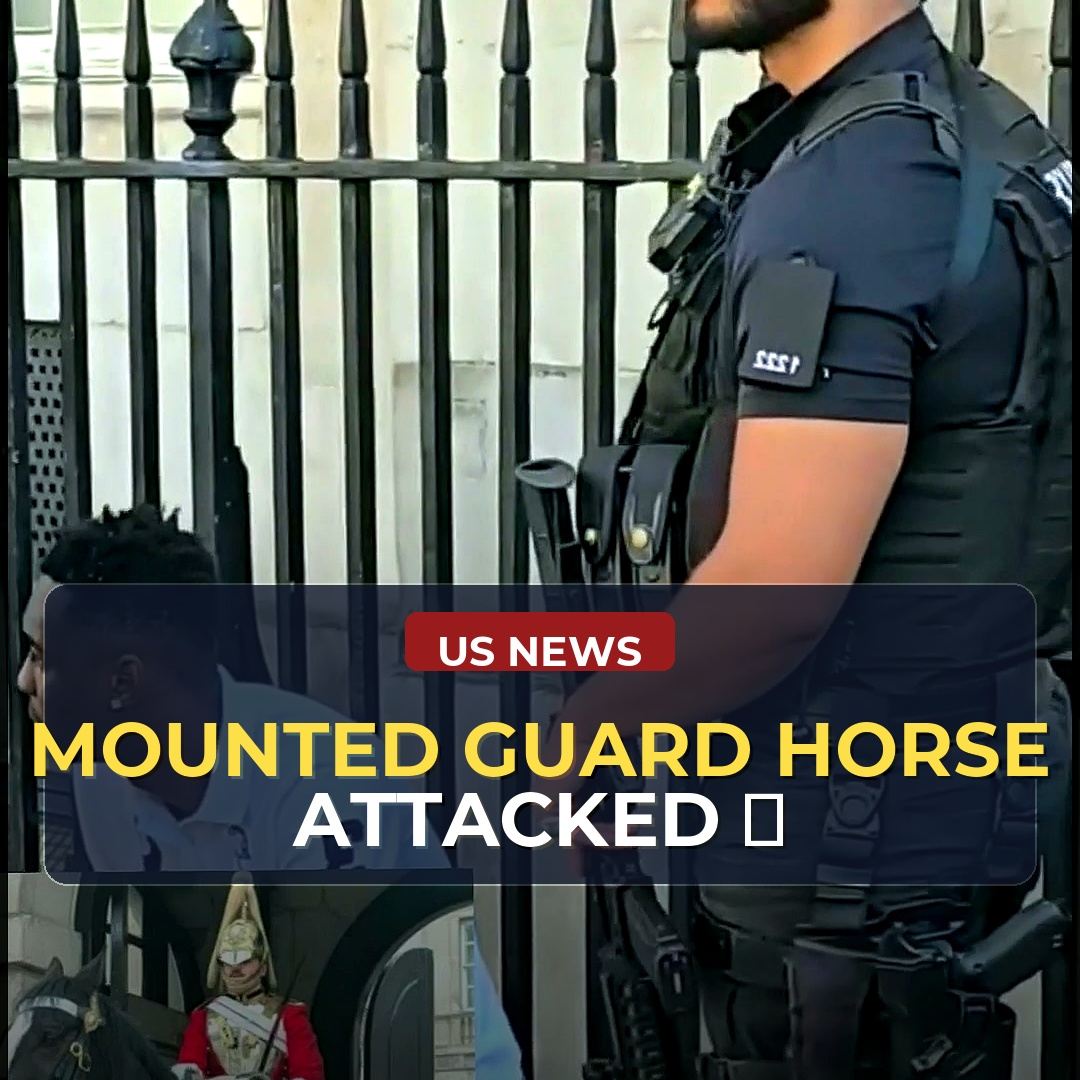 Altercation Involving Mounted Guard Horse in London Raises Questions About Tourist Conduct and Police Response in Crowded Areas