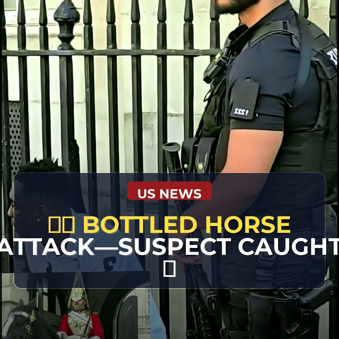 Video Shows Man Striking Mounted Police Horse With Bottle Before Fleeing; Arrest and Public Reaction Raise Questions About Safety in Tourist Areas
