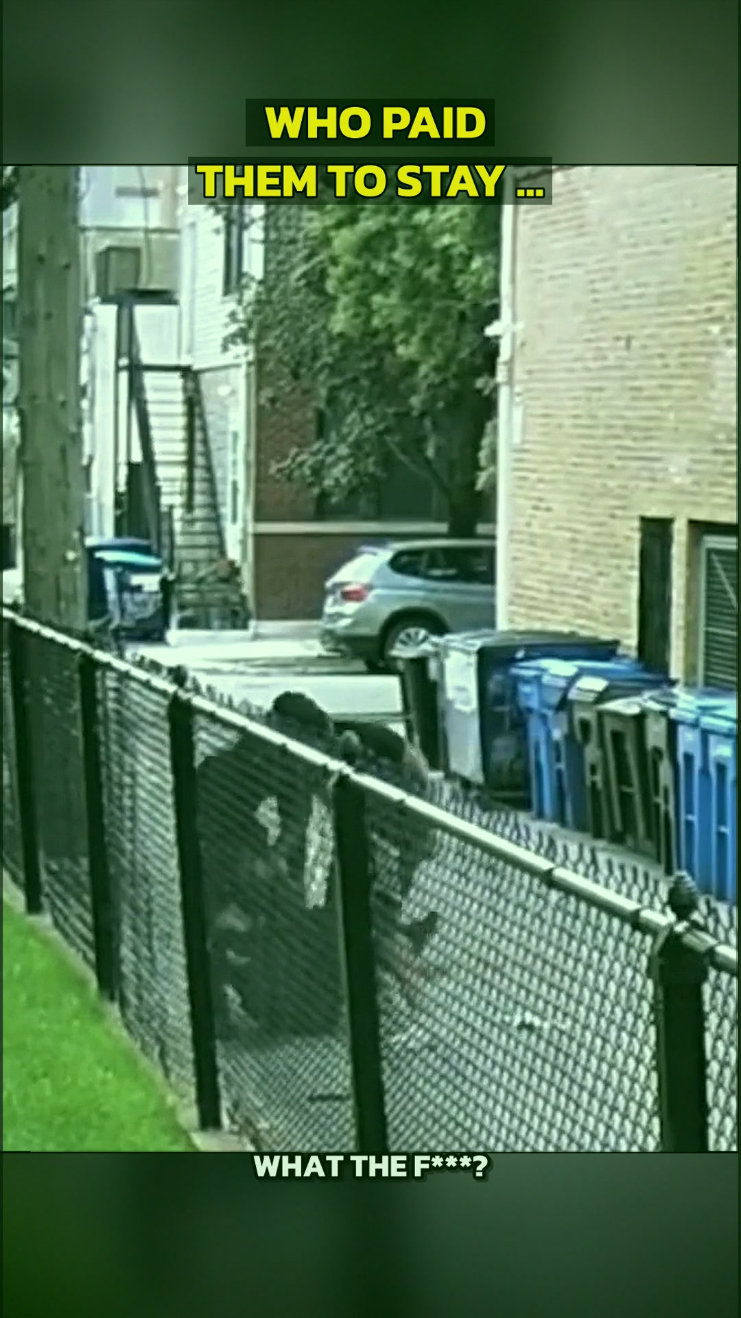 Chained and Defiant: The 6:40 AM Driveway Standoff That Turned a Quiet Suburb Into a Legal Battleground