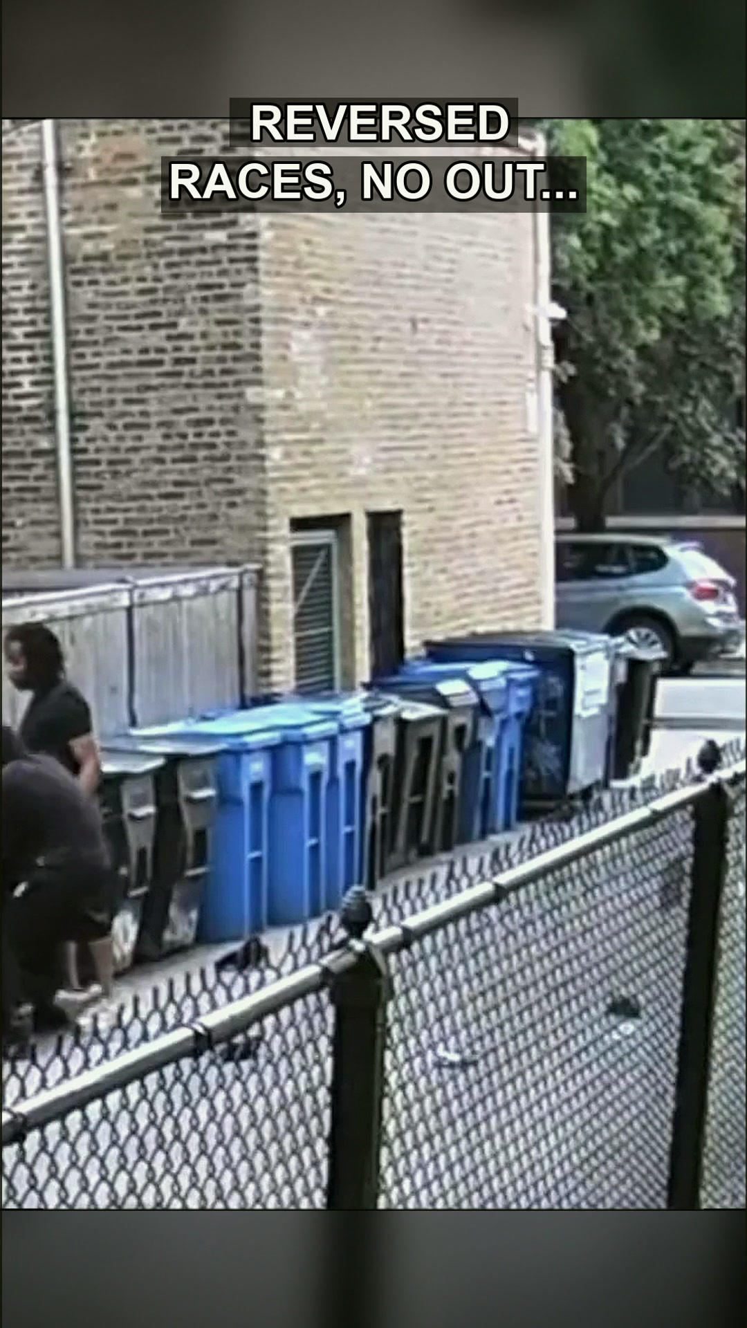 The Unedited Truth: Why a Chicago Confrontation Demands Our Attention, Not Our Silence