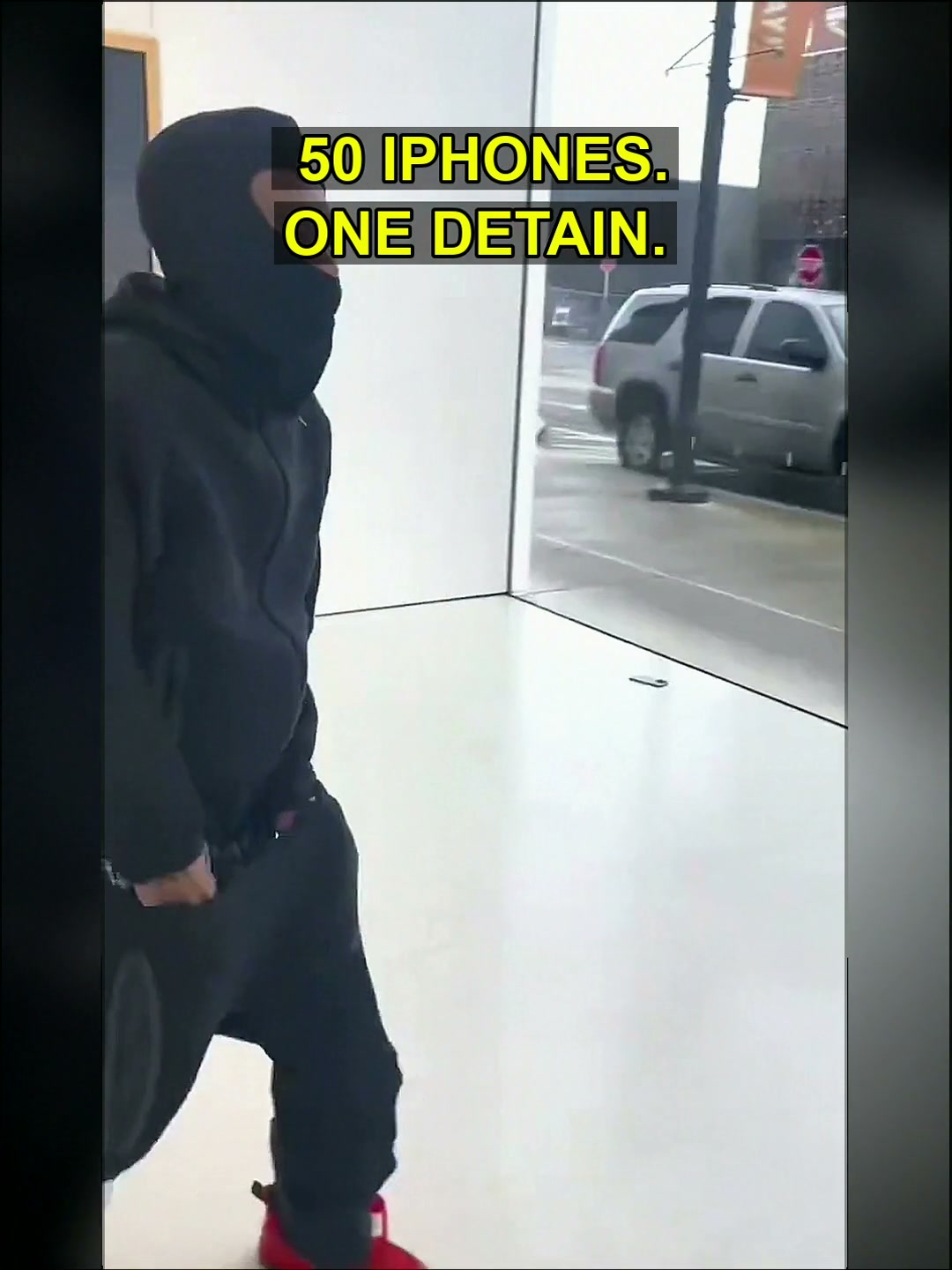 The $810,000 Question: When Viral Fame Collides with Hard Legal Consequences