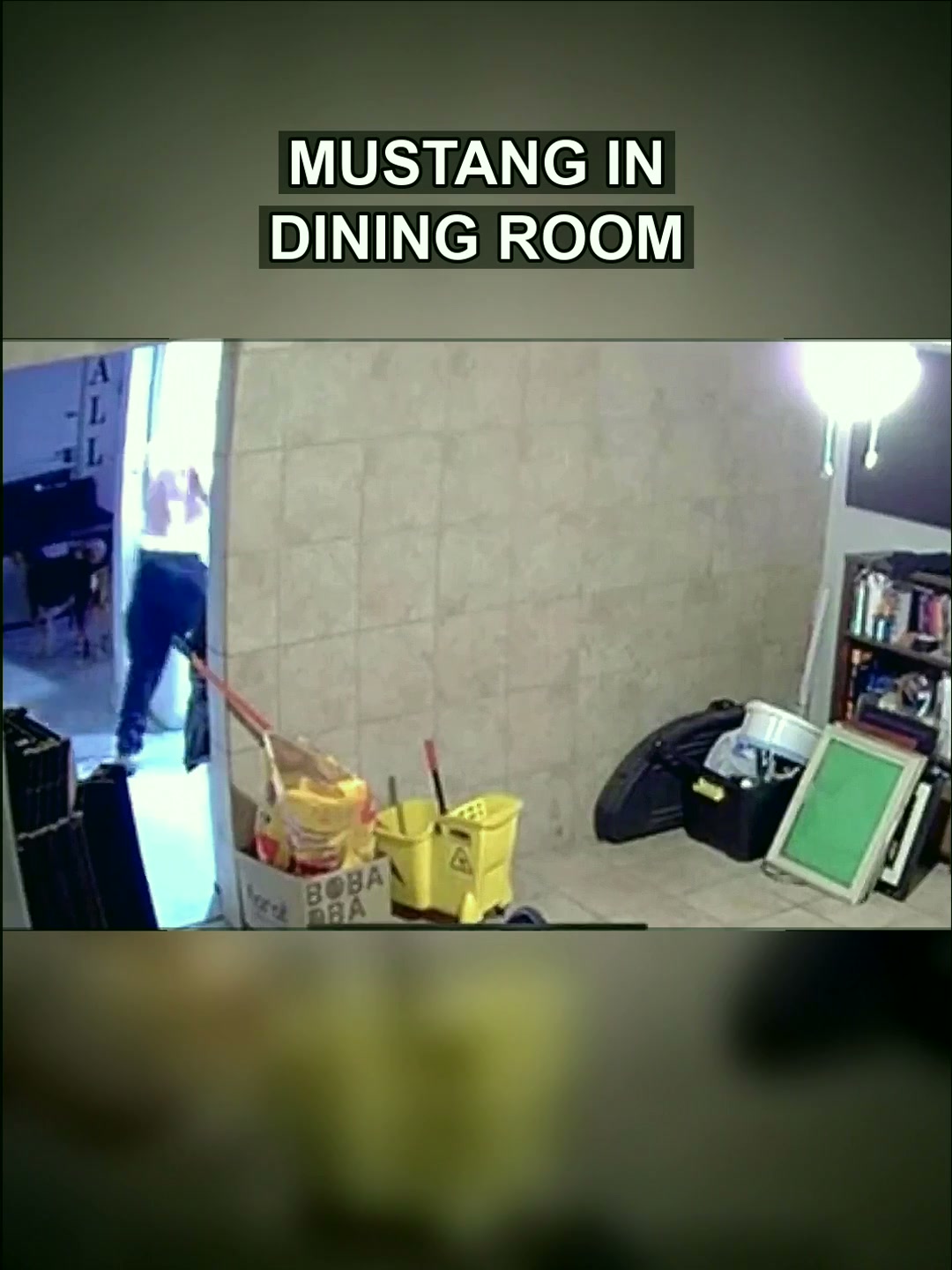 Justice After the Dust Settles: What Happens When a Car Crashes Through Your Living Room
