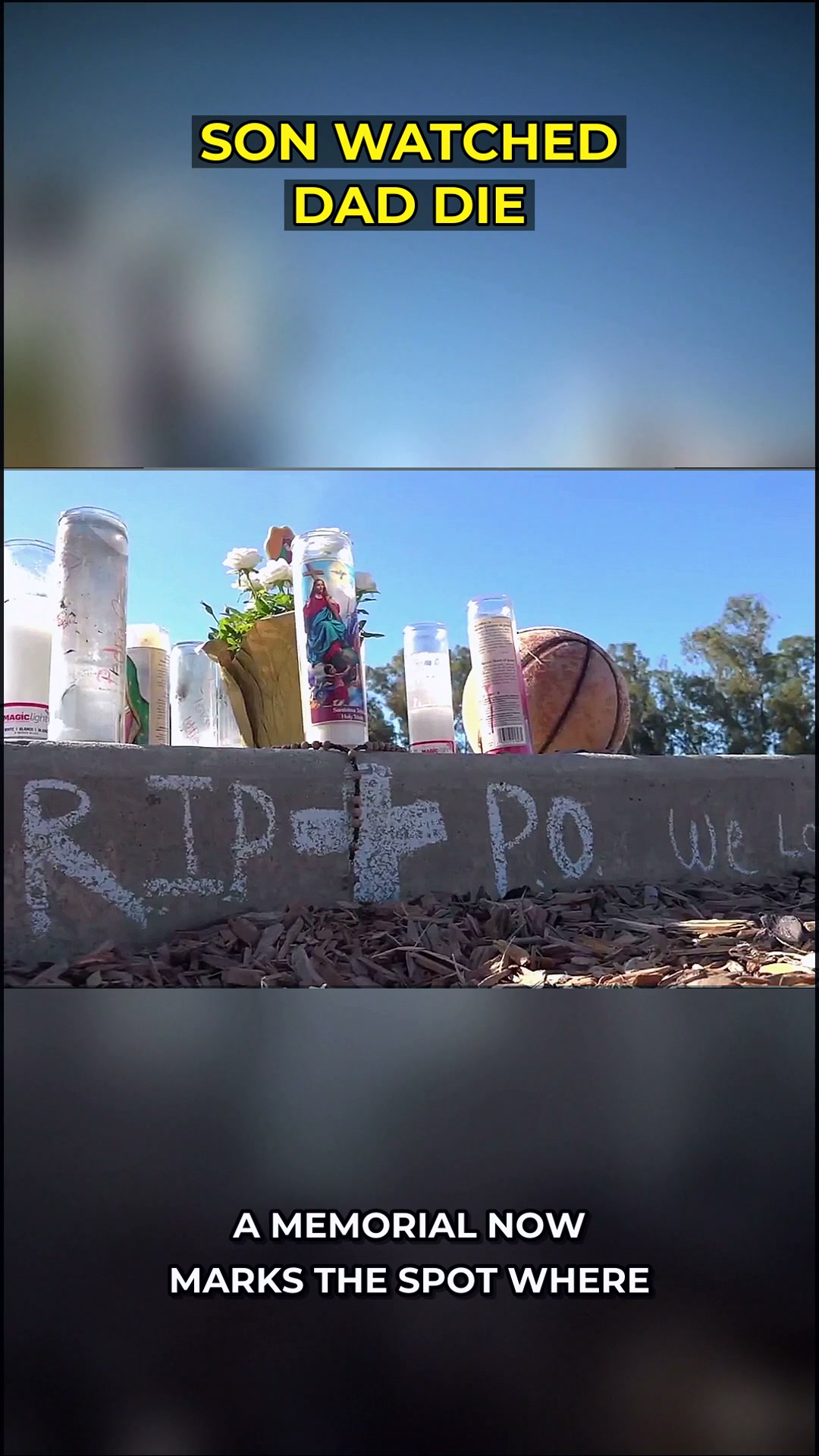 The Mira Mesa Incident: What One Family's Unimaginable Loss Reveals About Accountability and Legal Rights