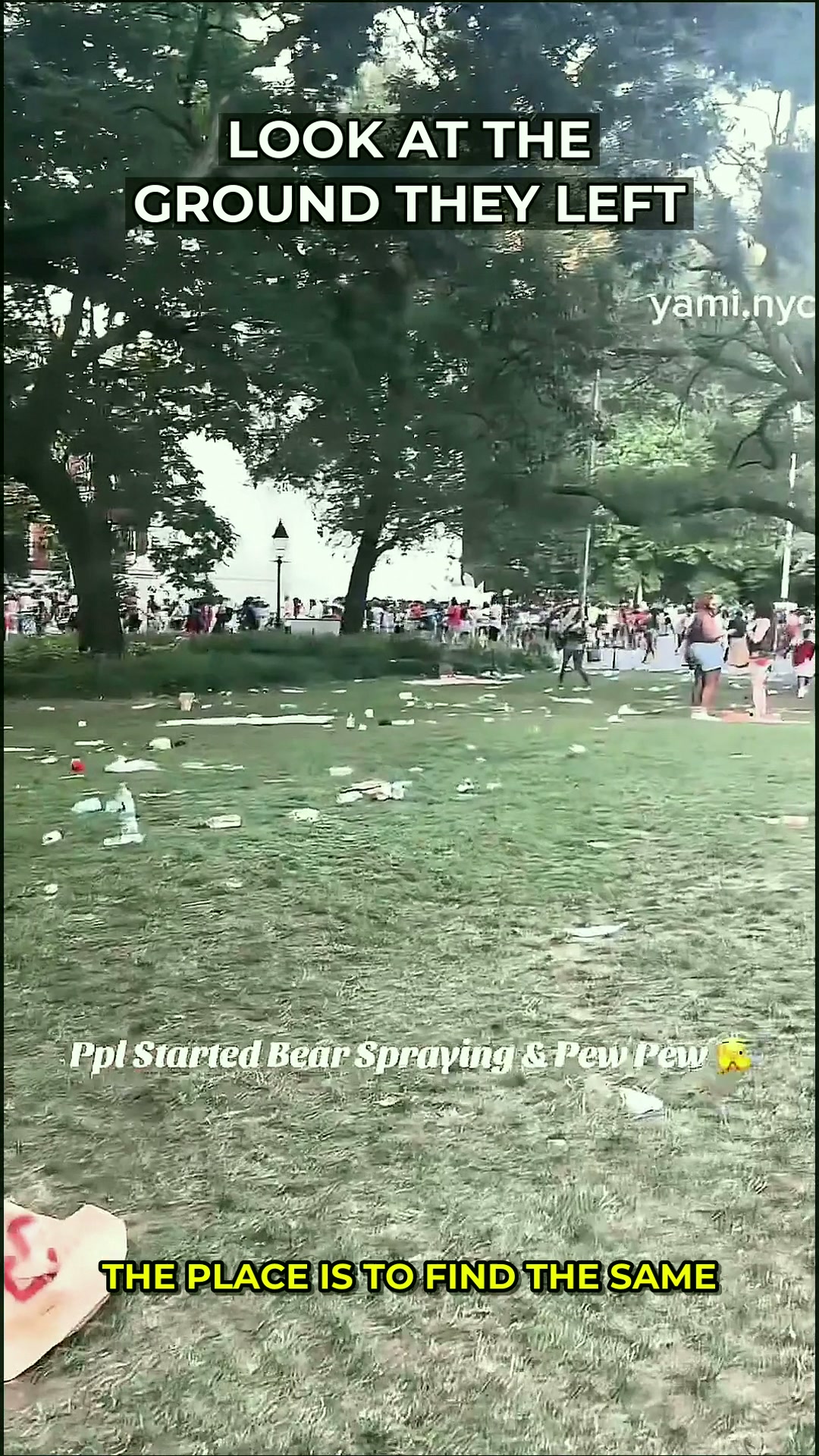 The Uncomfortable Truth in the Trash: When a Celebration Leaves a City Asking Hard Questions