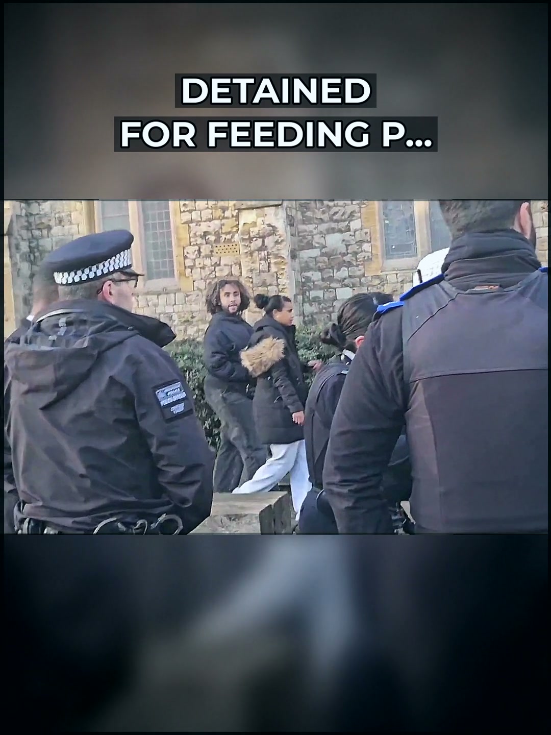 The Harrow Pigeon Incident: When Municipal Overreach Targets the Ordinary Citizen