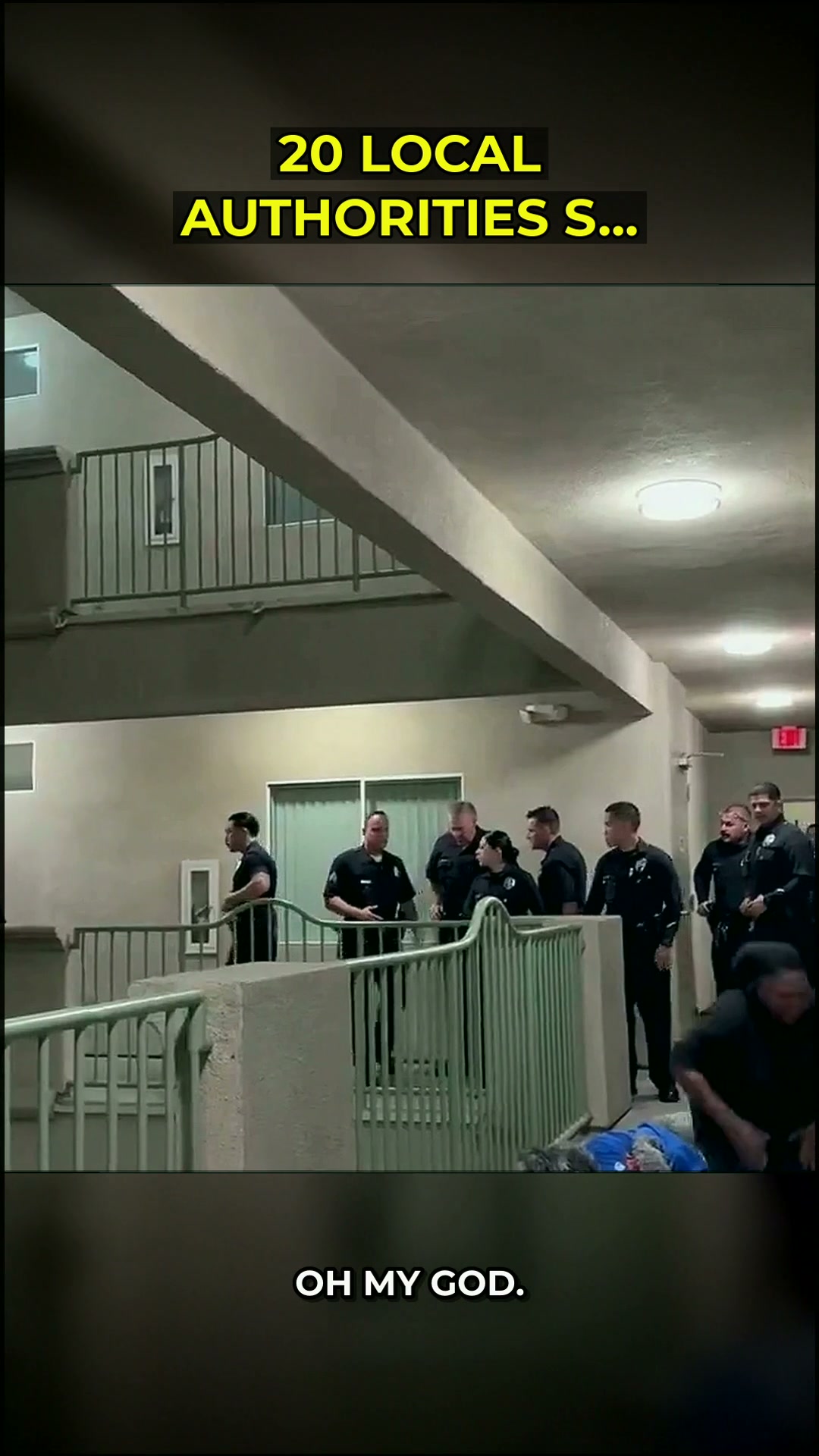 The Night a Basketball Win Turned Into a Nightmare: A Golden Doodle, A Noise Complaint, and the Price of Institutional Overreach