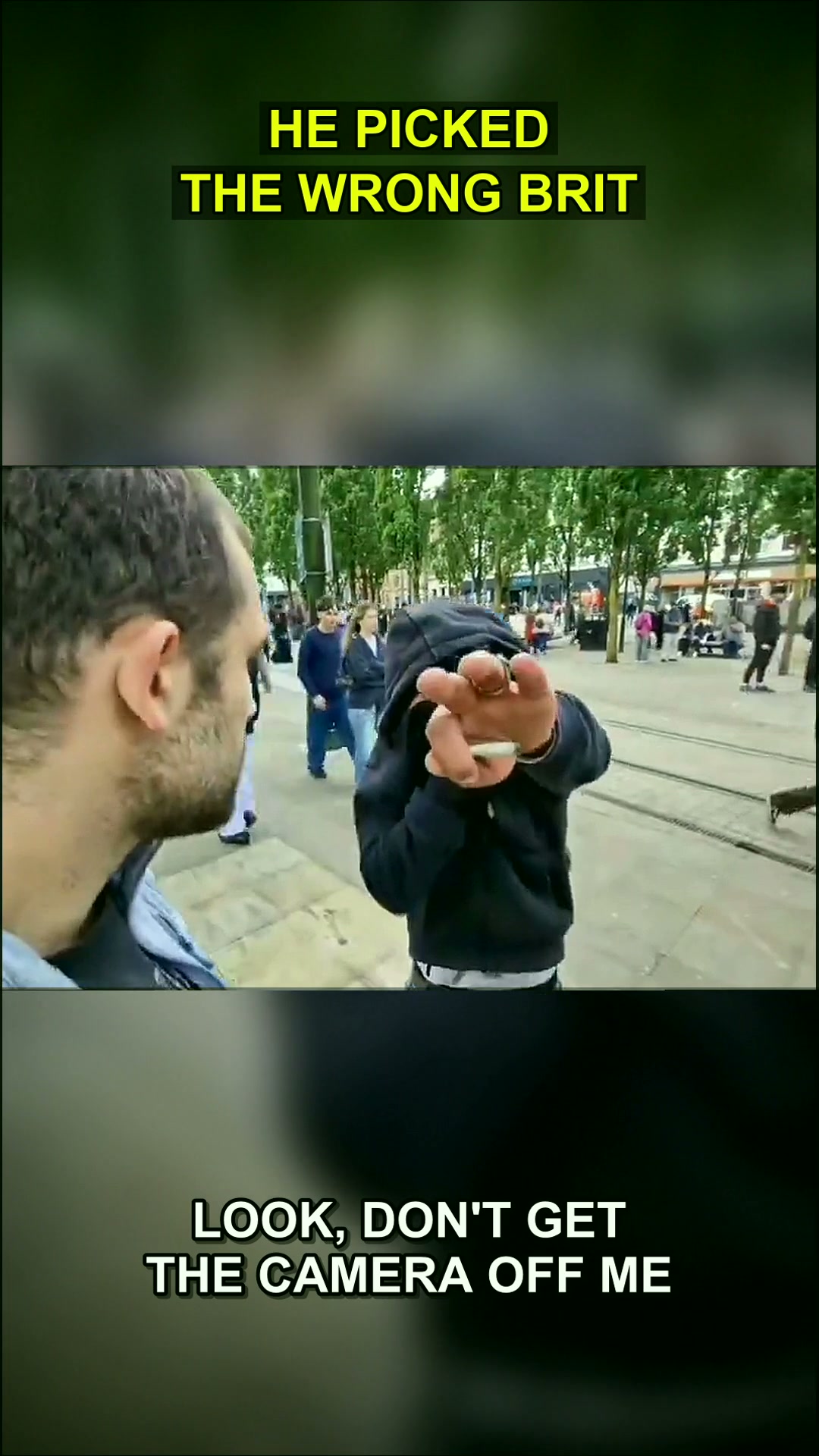The Unexpected Lesson in Boundaries: A Manchester Park Encounter Ignites a Global Debate on Respect