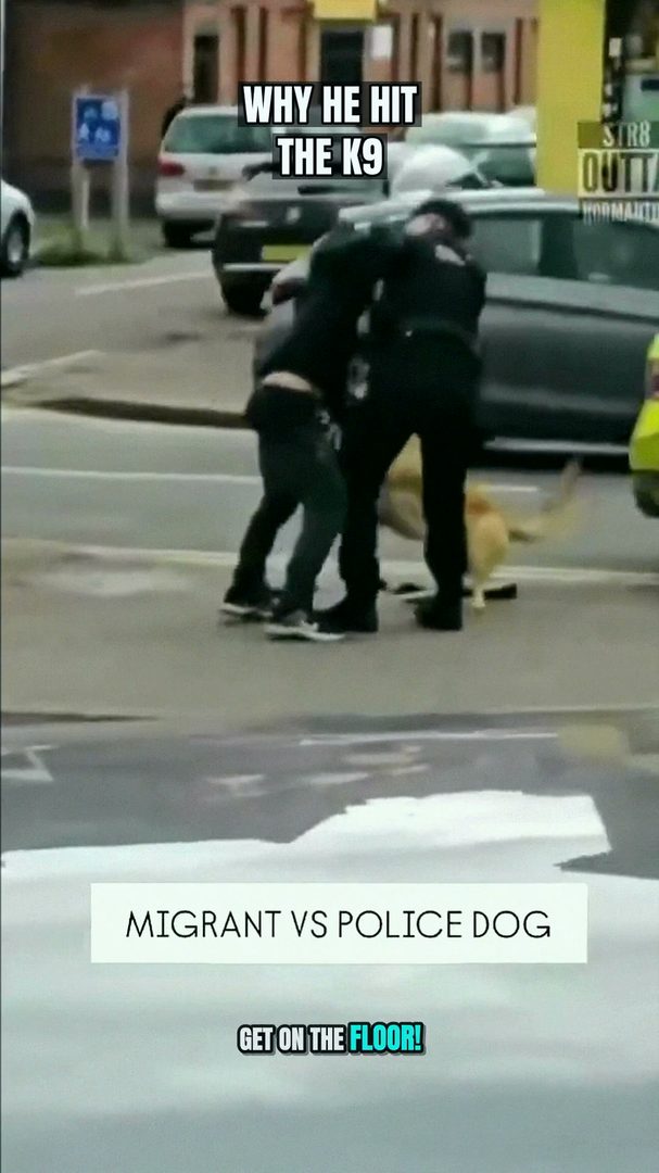 Camden Parking Standoff: Couple's Furious Doorstep Confrontation Caught on Camera After Driver Moves Their Saved Spot