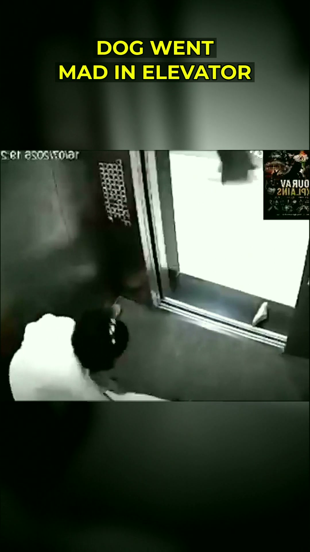 When an Elevator Turns Into a Test of Community Resilience