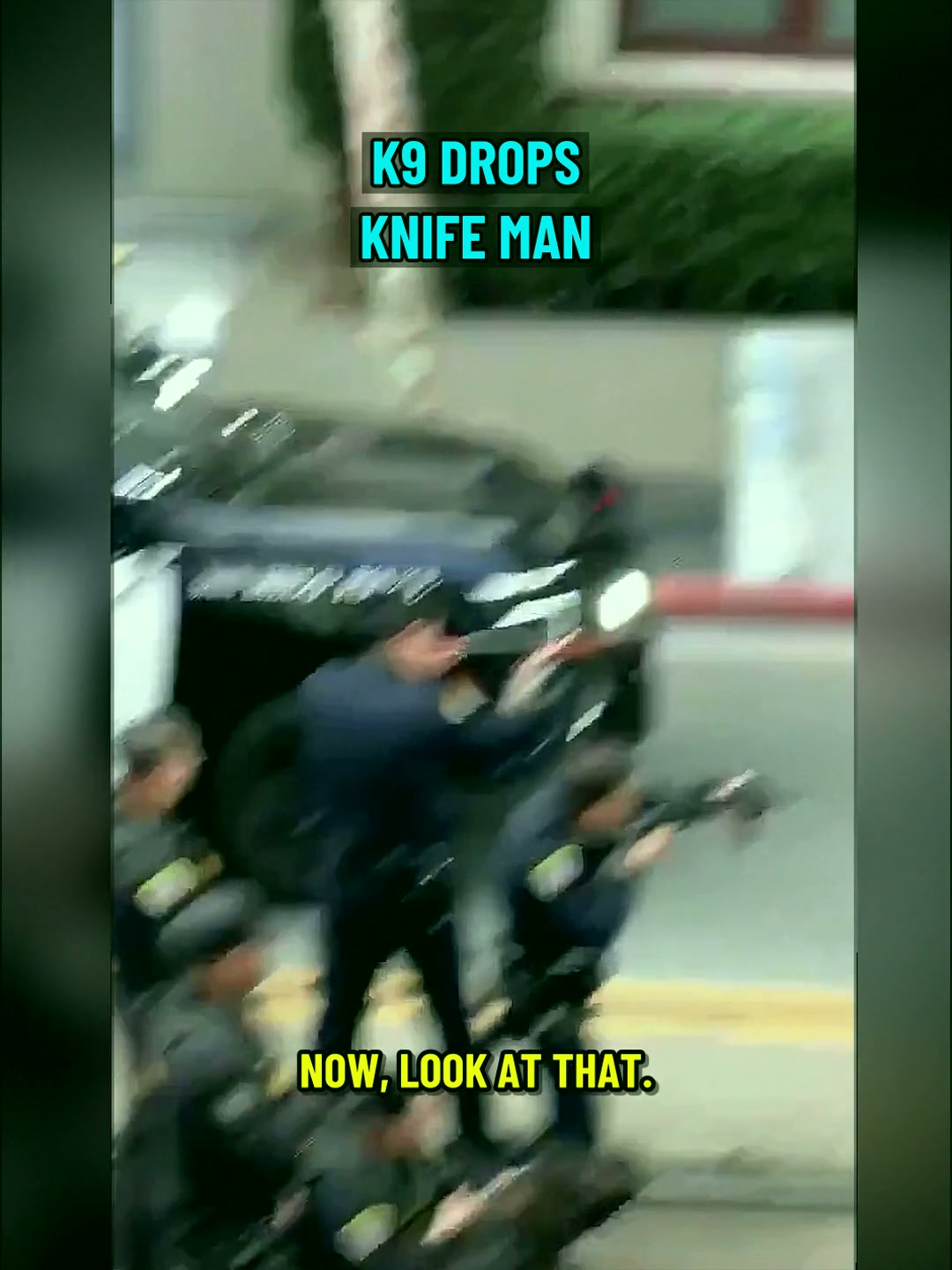 How Communities Hold Wrongdoers Accountable: Inside the San Diego K9 Incident and the Fight for Victim Justice