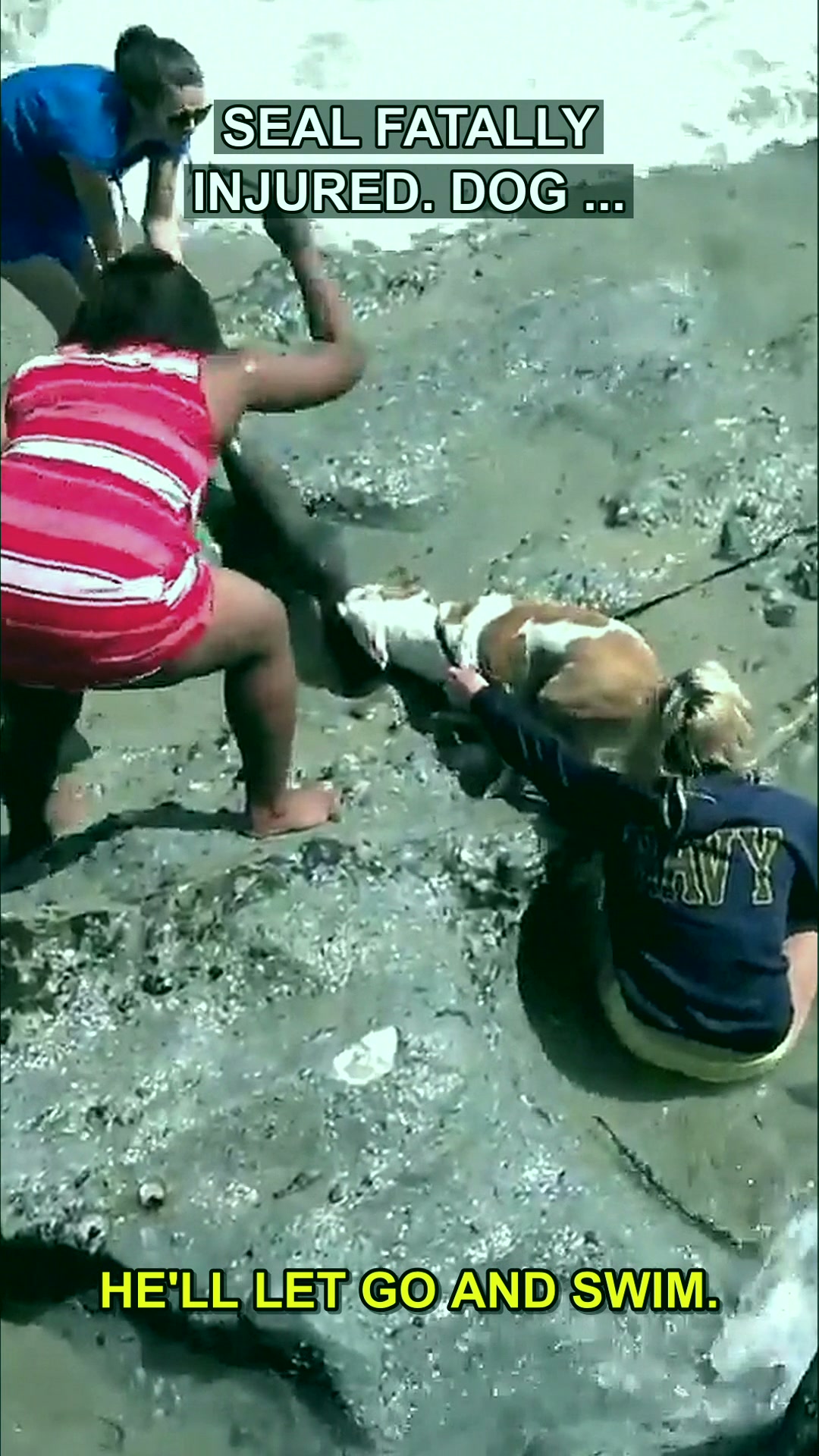 When Instinct Takes Over: The Raw, Unedited Truth Behind a Beach Day Gone Wrong