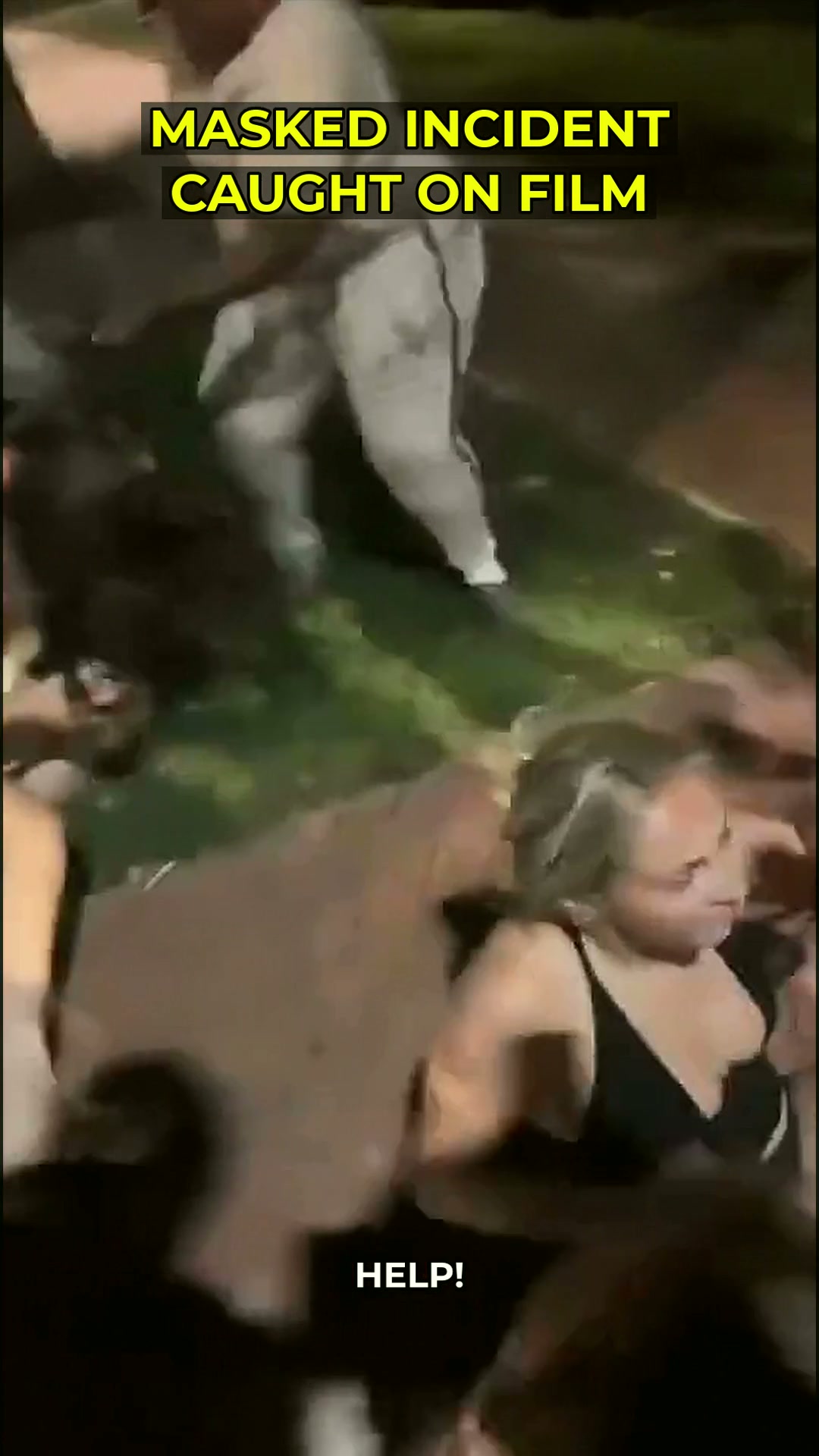The Unsettling Spectacle of Bystander Apathy in the Age of Viral Chaos